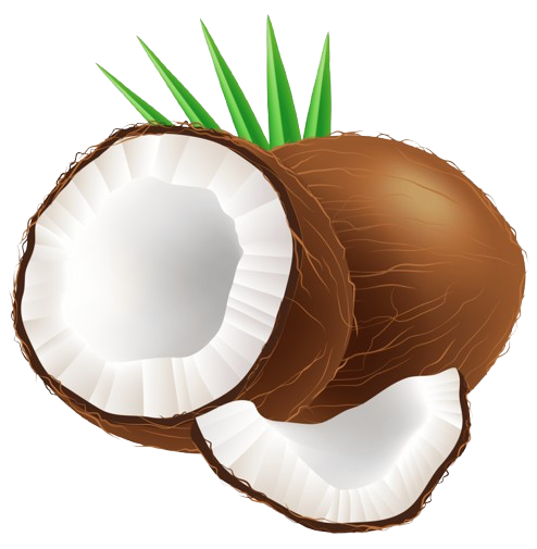 Cocont કોપરા