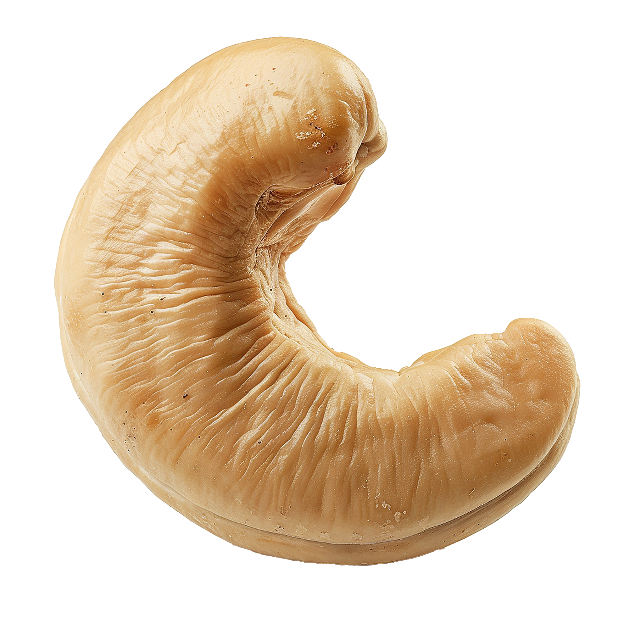 CASHEW / કાજુ