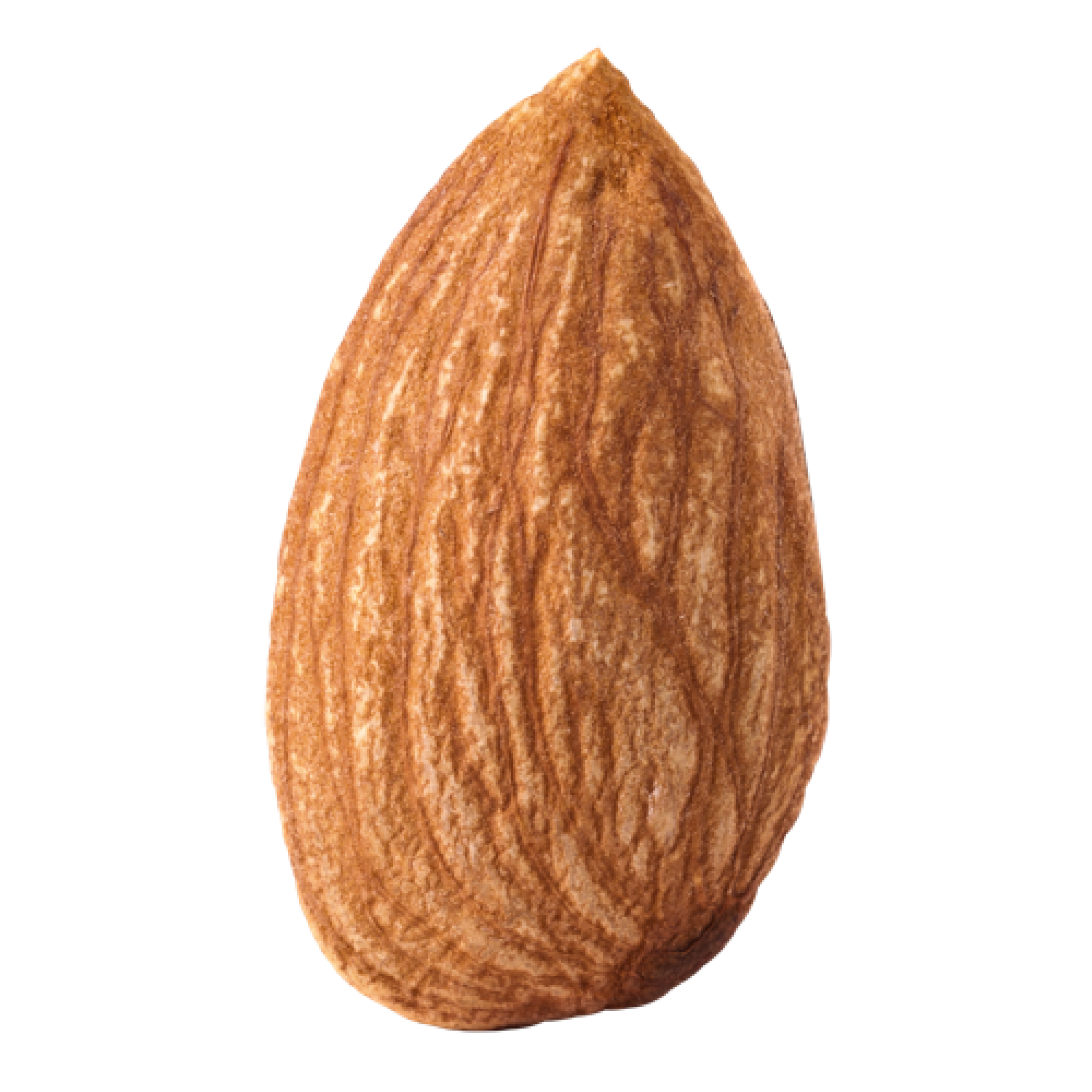 Almond