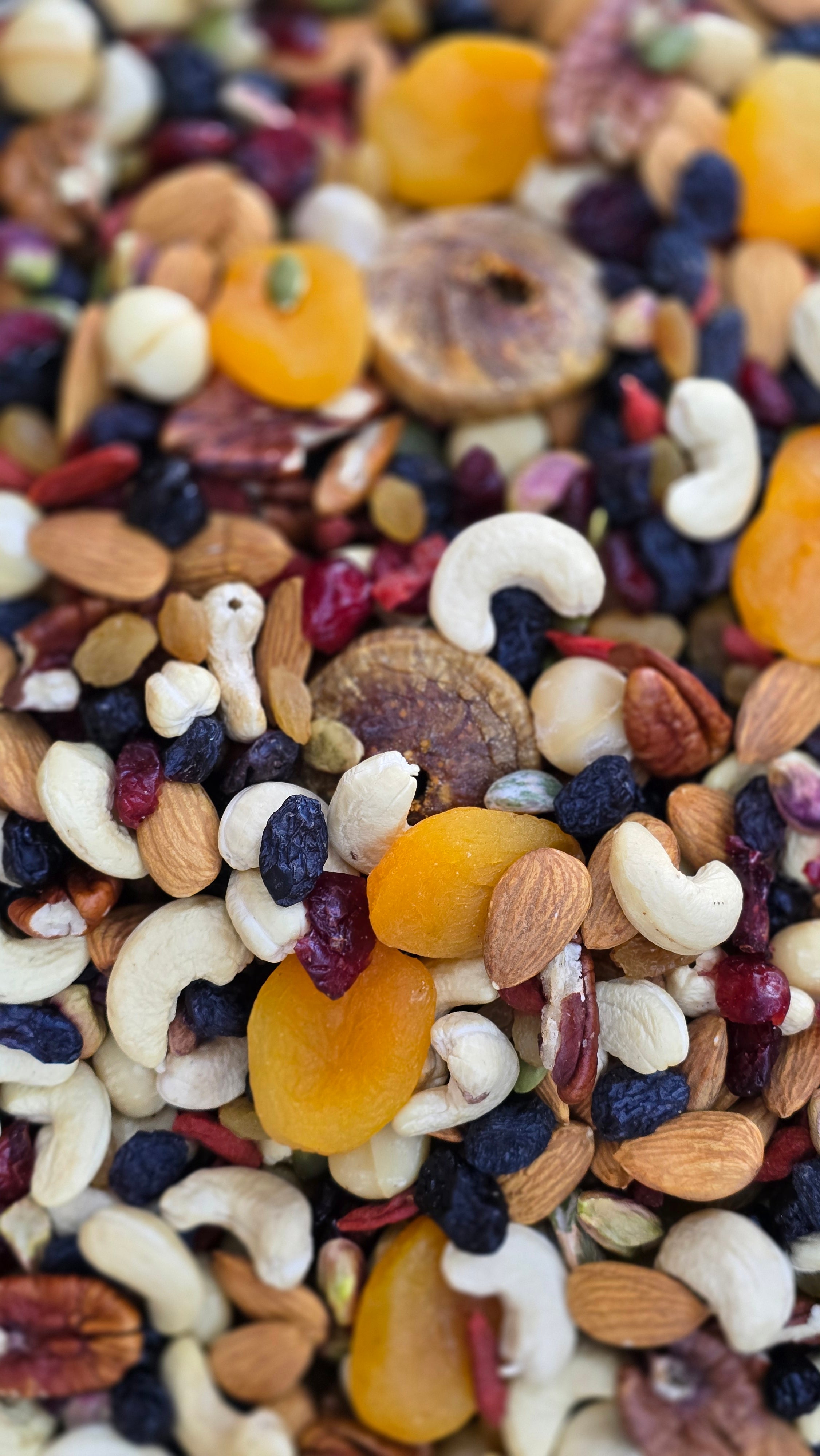 Premium Dryfruits Mix પ્રિમયમ ડ્રાયફ્રુટ મિક્સ
