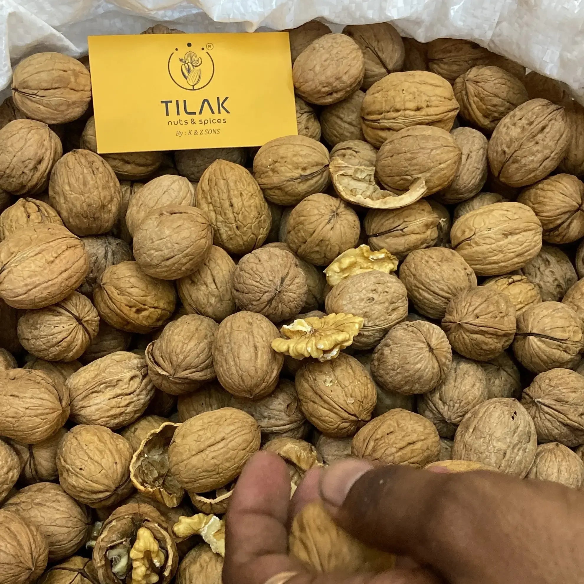 Chile Inshell Walnut ચીલી અખરોટ આખા
