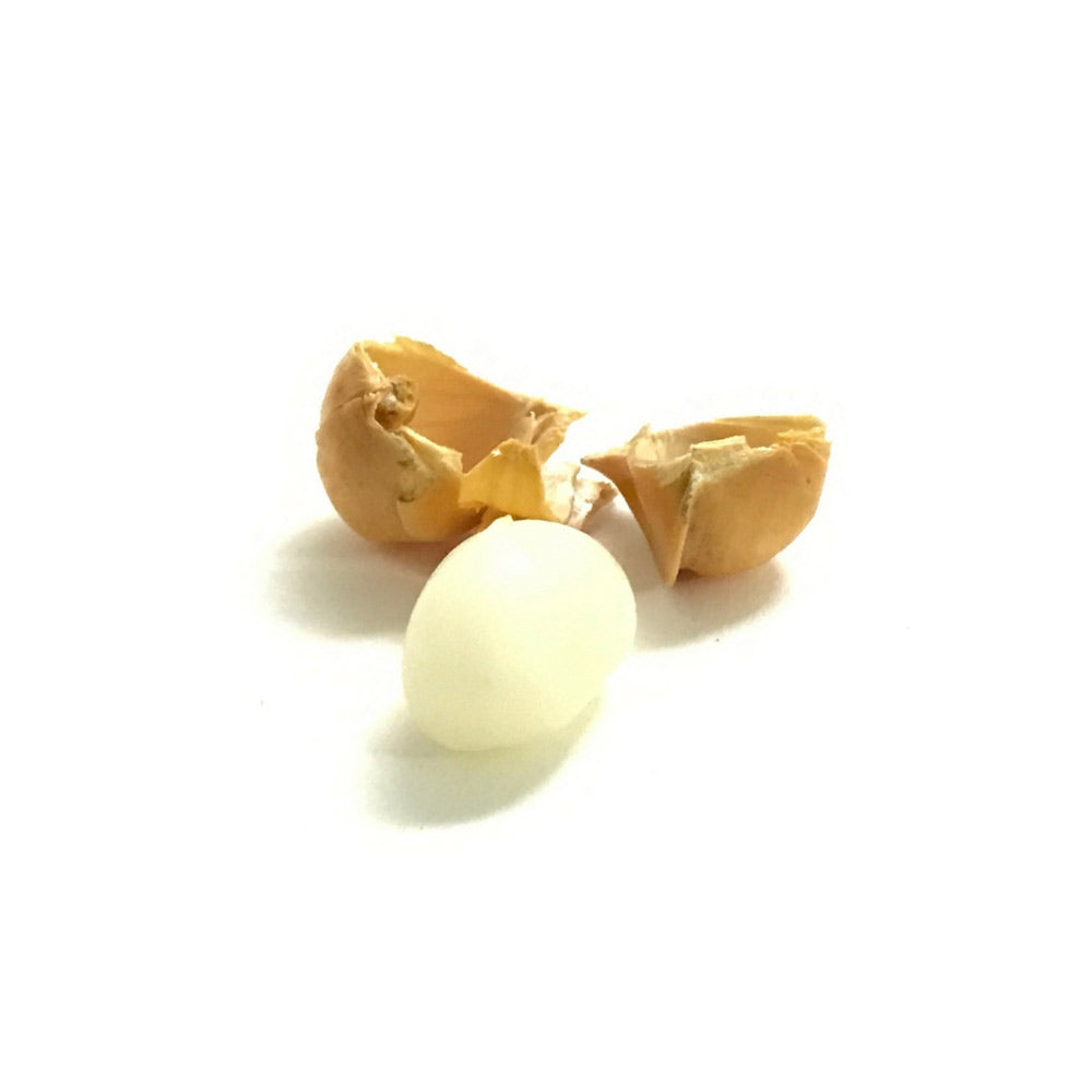 Kashmiri Lahsun / Mountain Garlic કાશ્મીરી લસણ