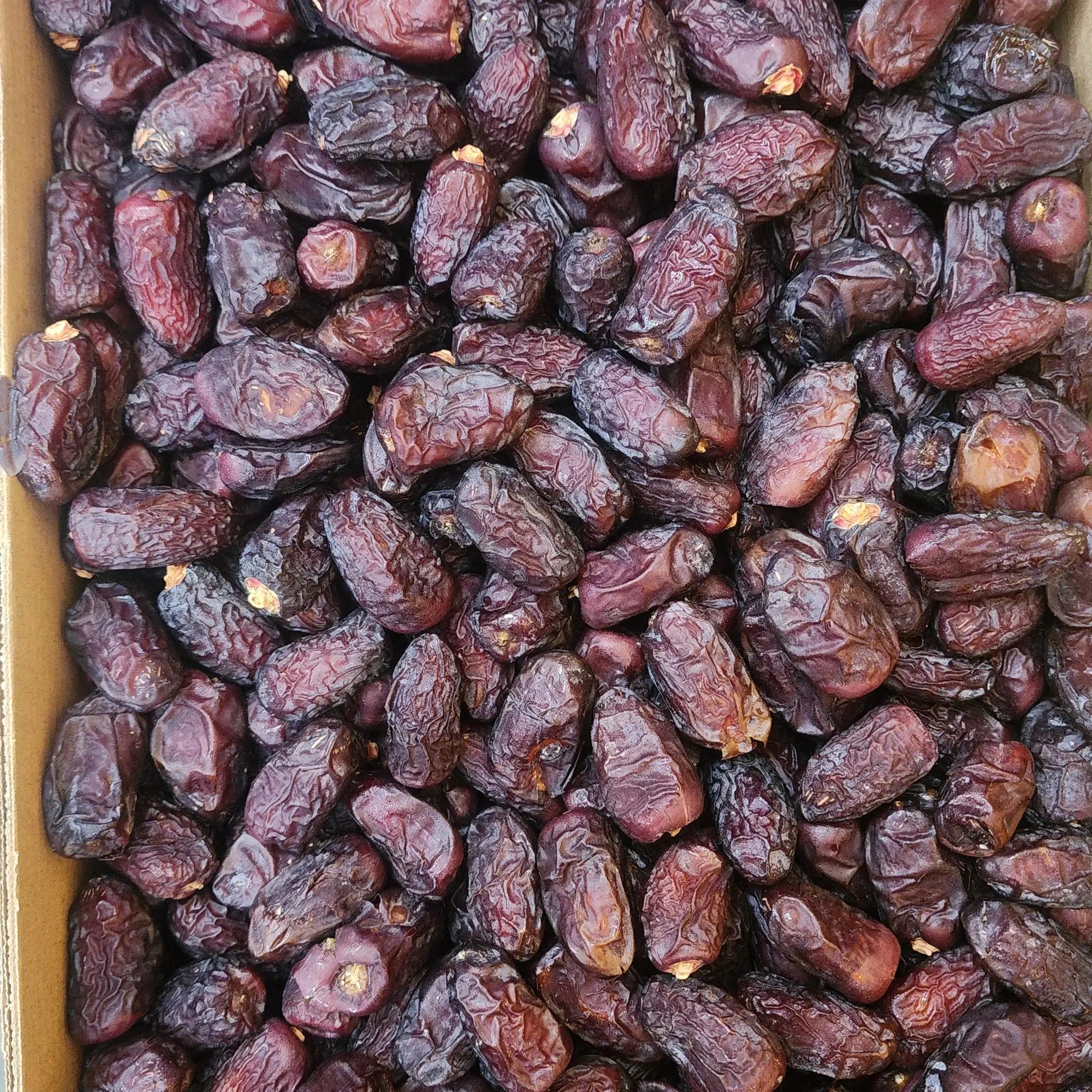 Kalmi Dates - Safawi  કલમી ખજુર