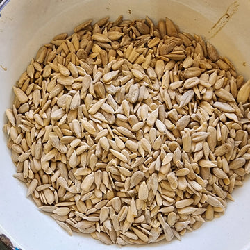 Sunflower Seeds Plain