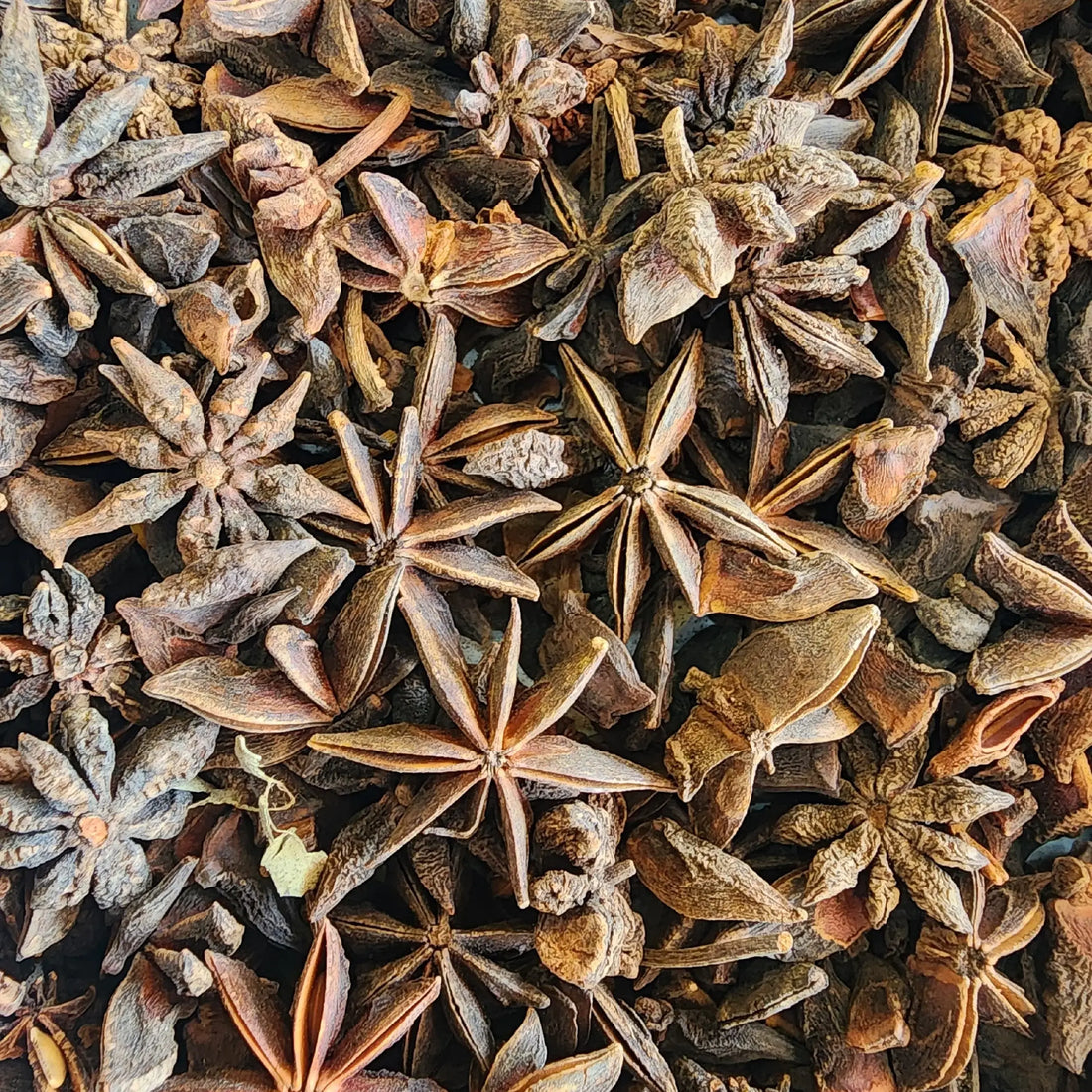 Star Anise બાદિયાન