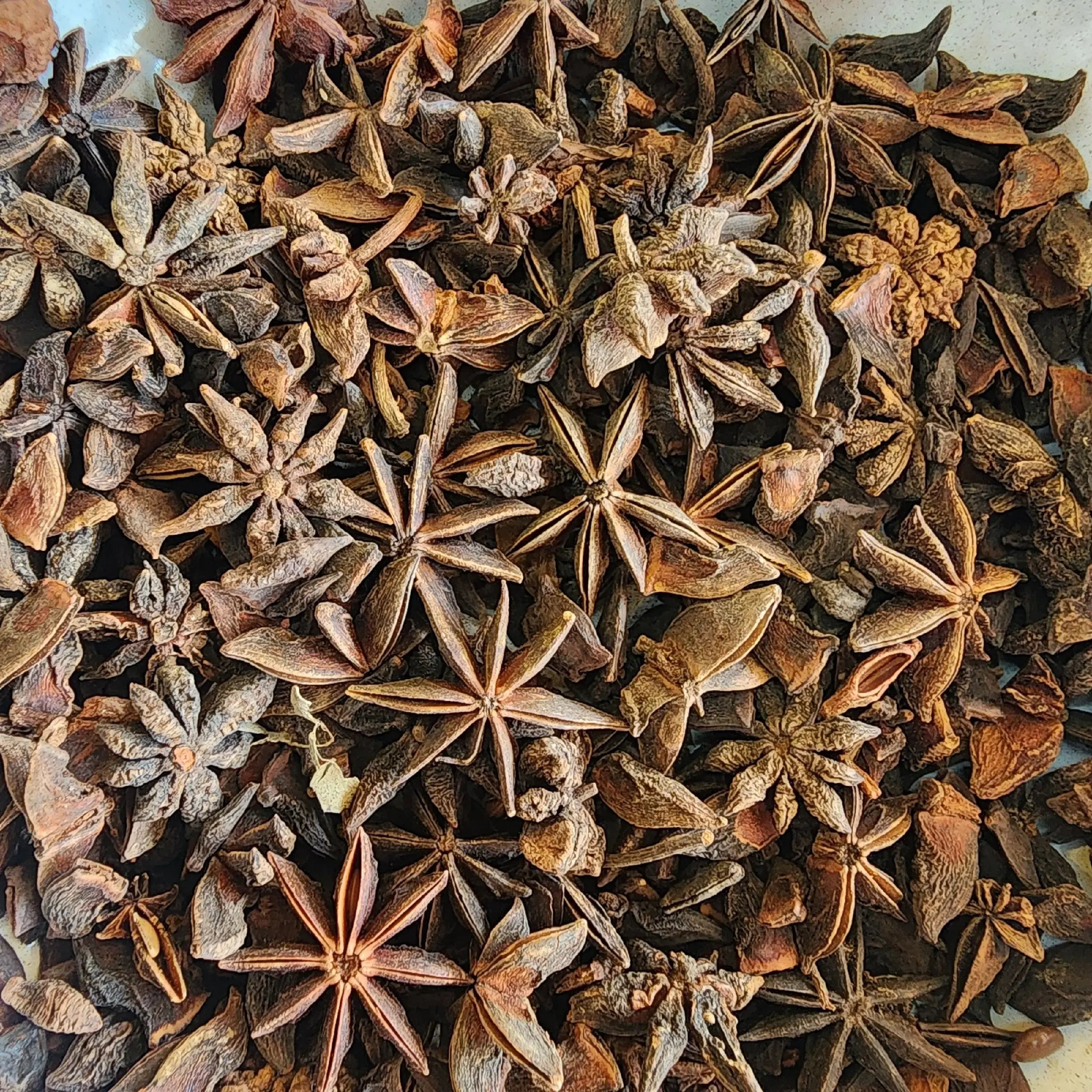 Star Anise બાદિયાન
