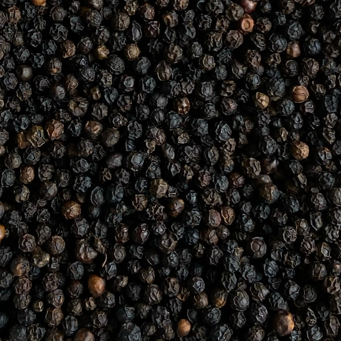Black Pepper / Mari કાળા મરી
