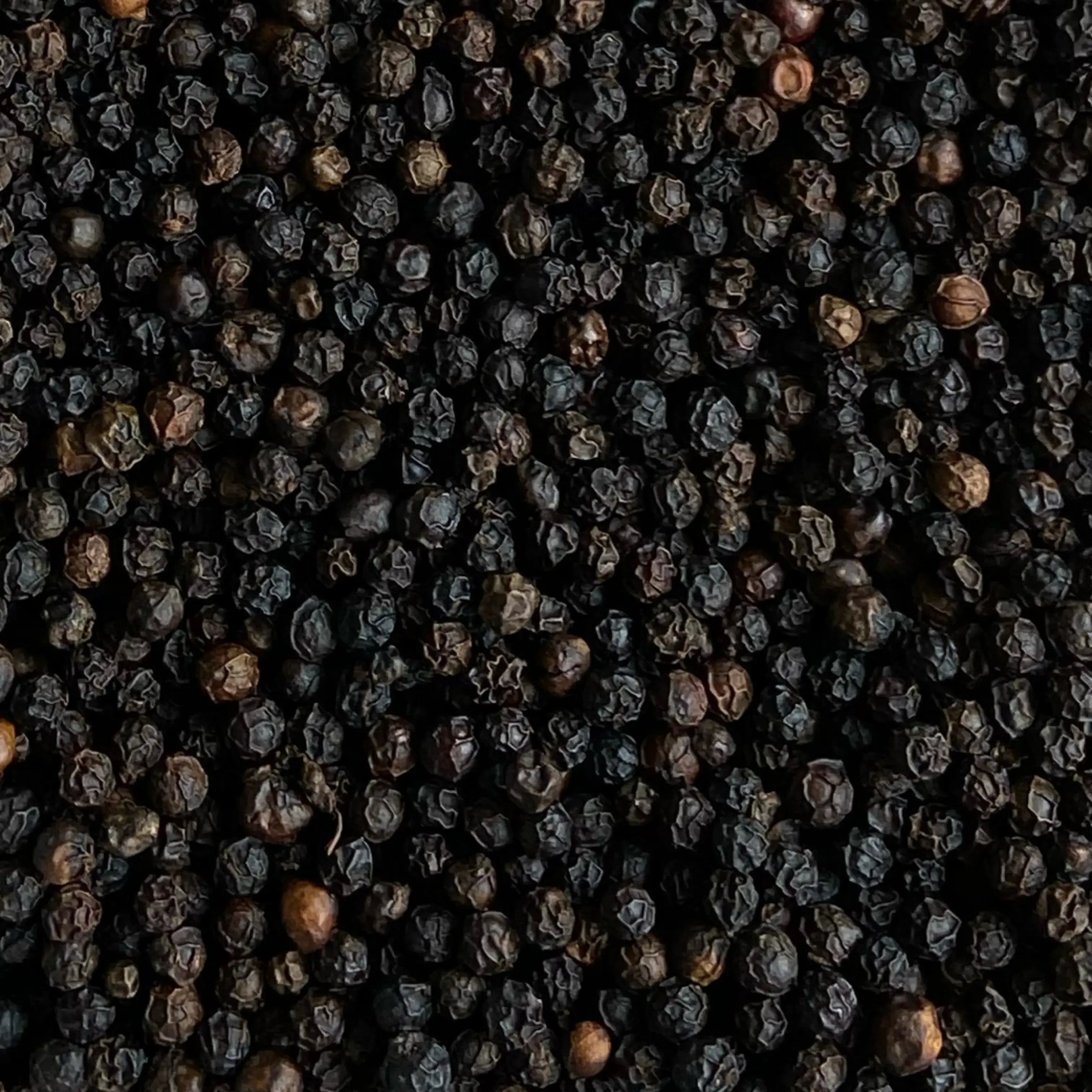 Black Pepper / Mari કાળા મરી