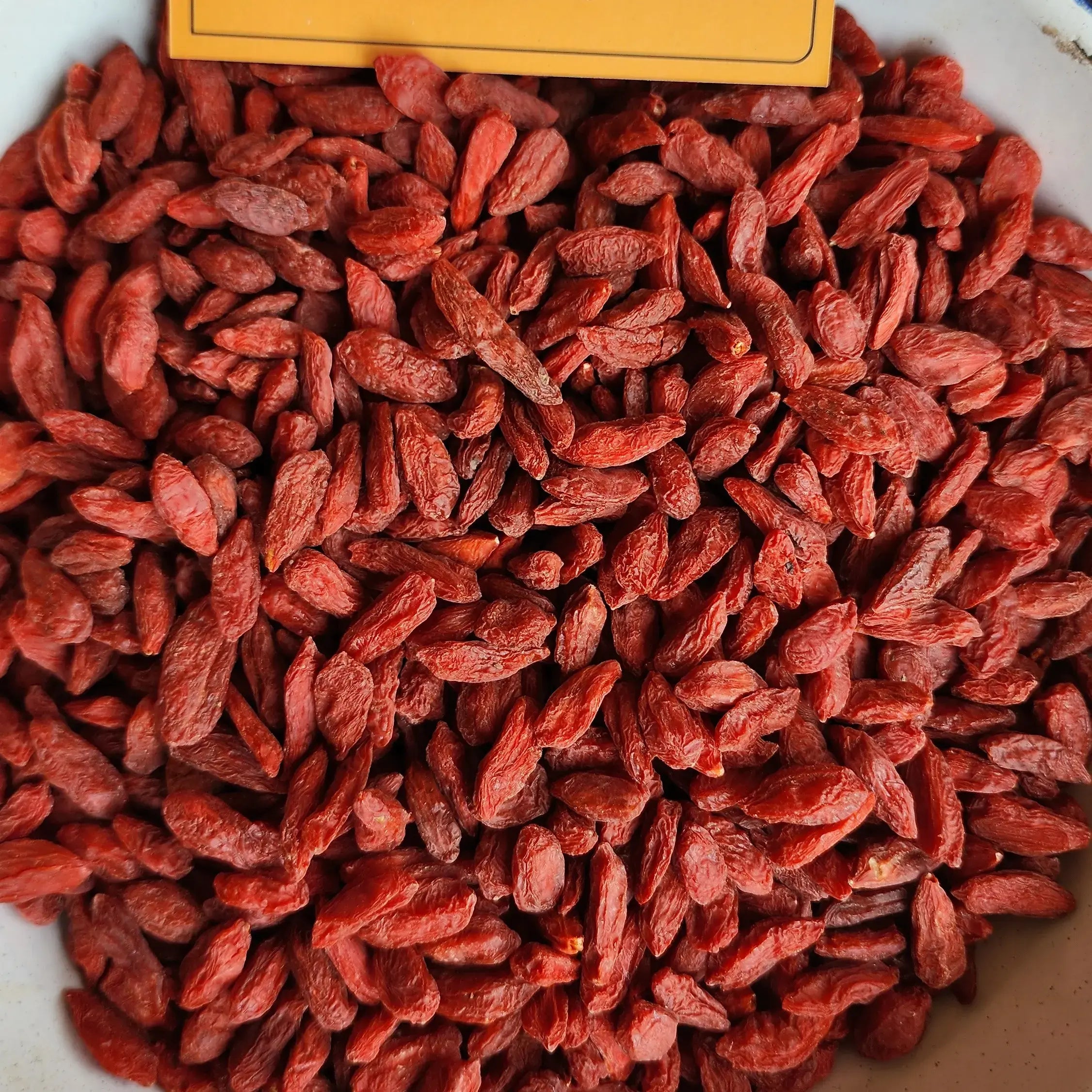 GOJI BERRIES ગોજી બેરી