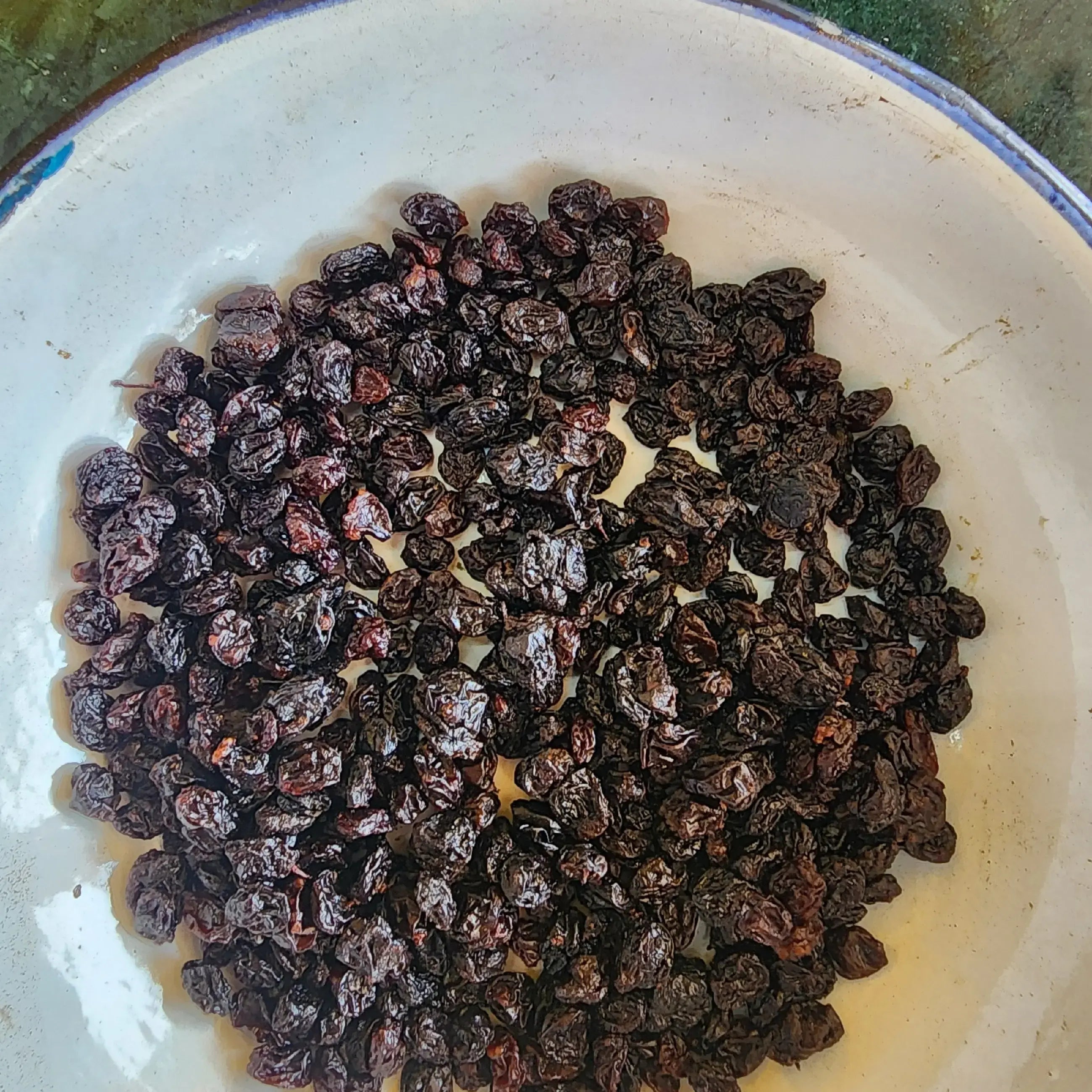 Black current બ્લેક કરંટ