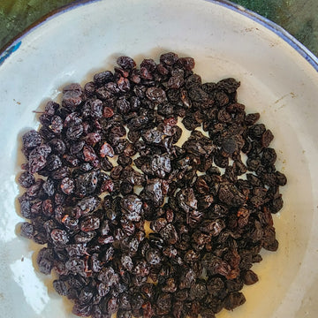 Black current બ્લેક કરંટ