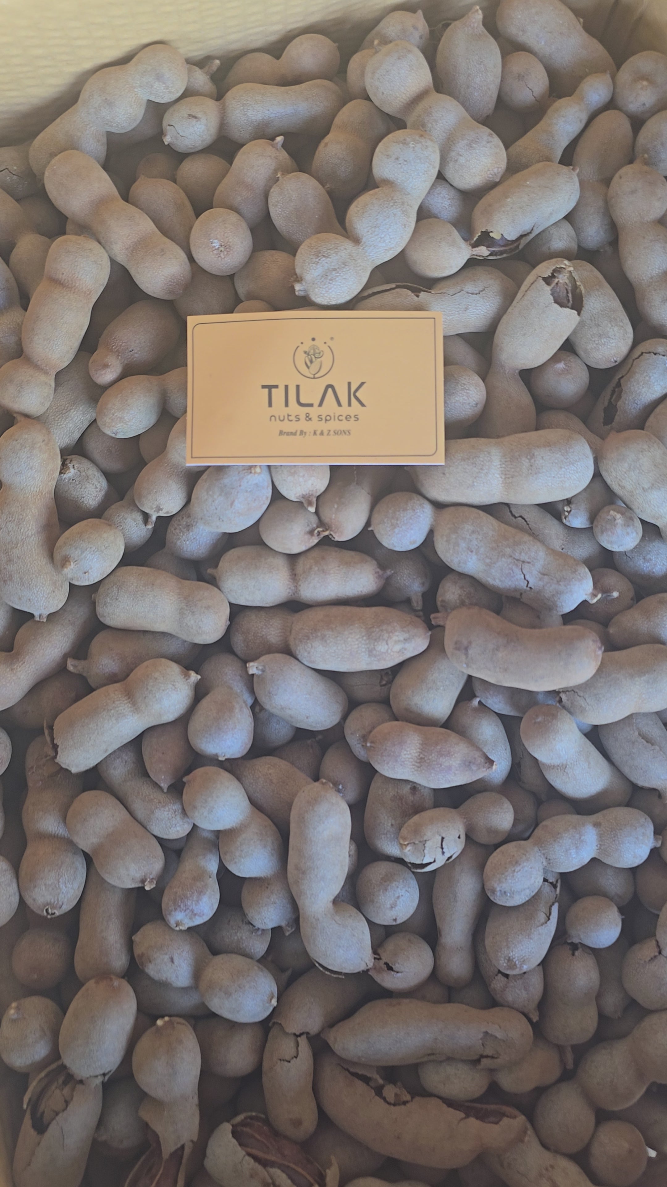 Thailand Sweet Tamrind થાઇલેન્ડ ની મીઠી આંબલી