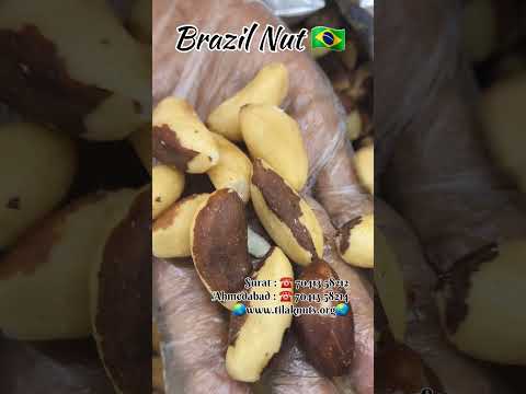 Brazil Nuts 🇧🇷 બ્રાઝીલ નટ્સ