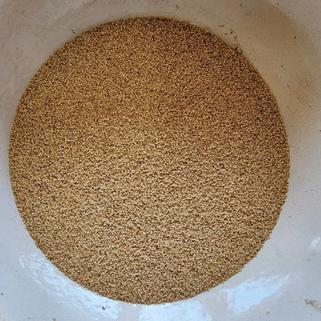 Poppy Seeds Khas KHas ખસ ખસ