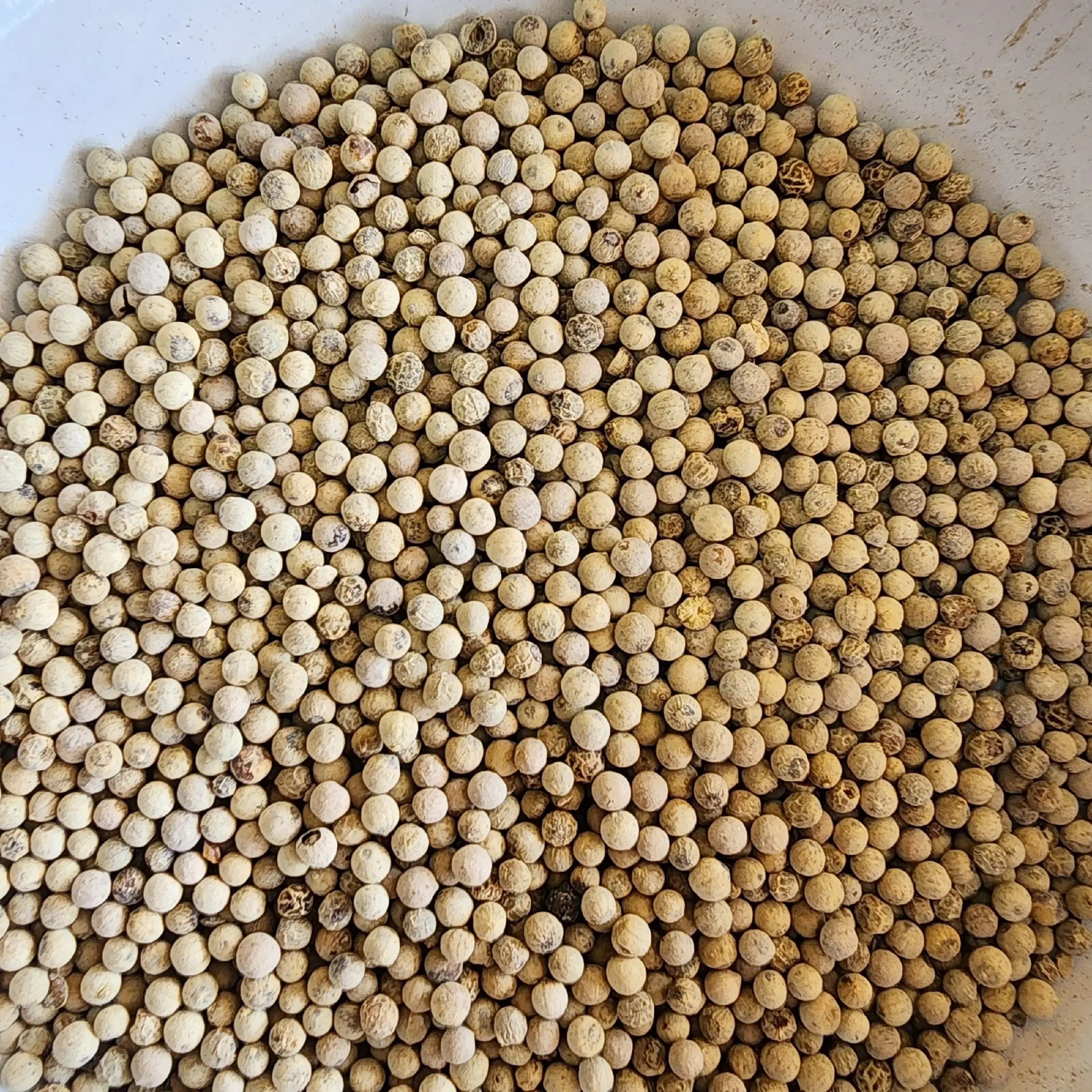 White Pepper / Mari સફેદ મરી